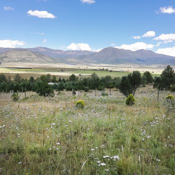 terreno los andes 10